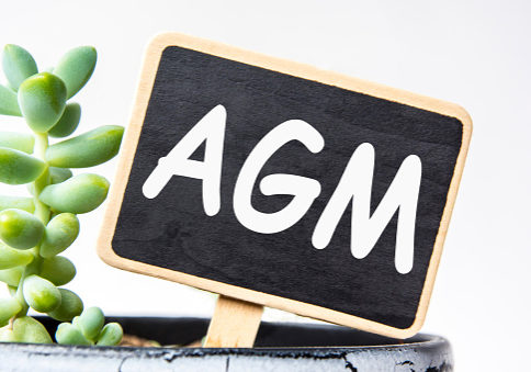 small black chalk board in a pot with succulents inscribed in white letters agm. business concept, stable growth